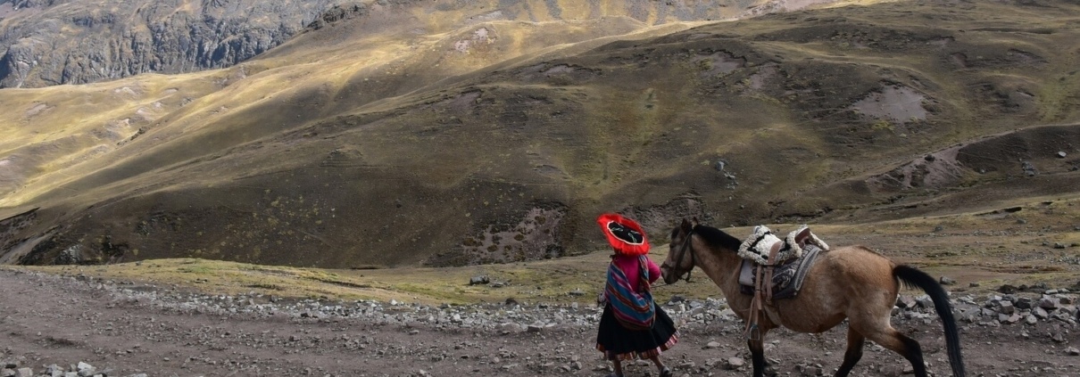 Ein Pfad in den Anden und eine Frau die ein Pferd führt