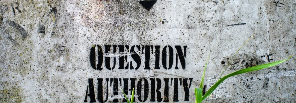 Graffiti mit dem Text 'QUESTION AUTHORITY' und einem Pfeil sowie dem Text 'HEY FUCK FACE' auf einer verwitterten Betonwand mit Gras im Vordergrund